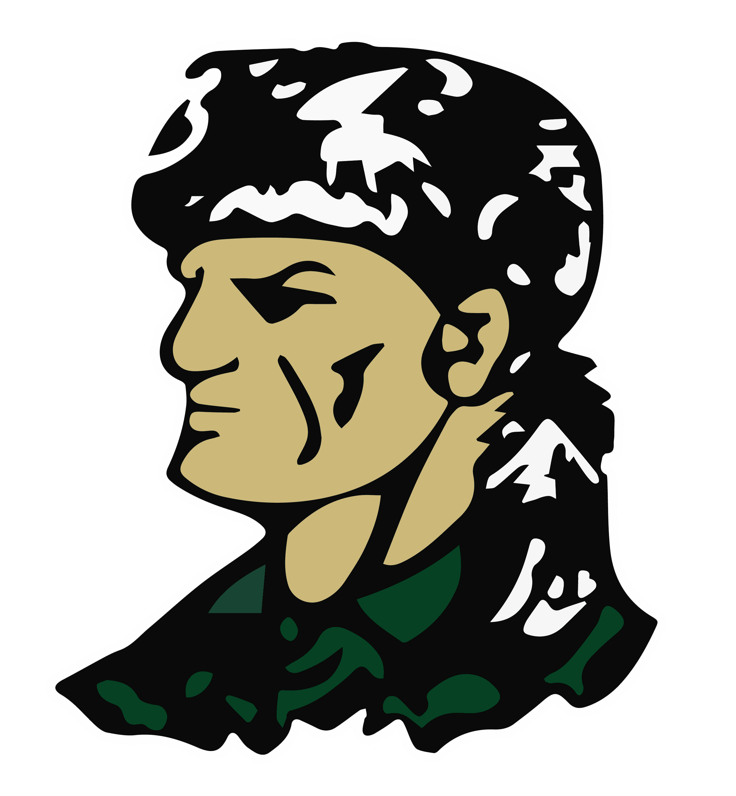 Crowley's Ridge College